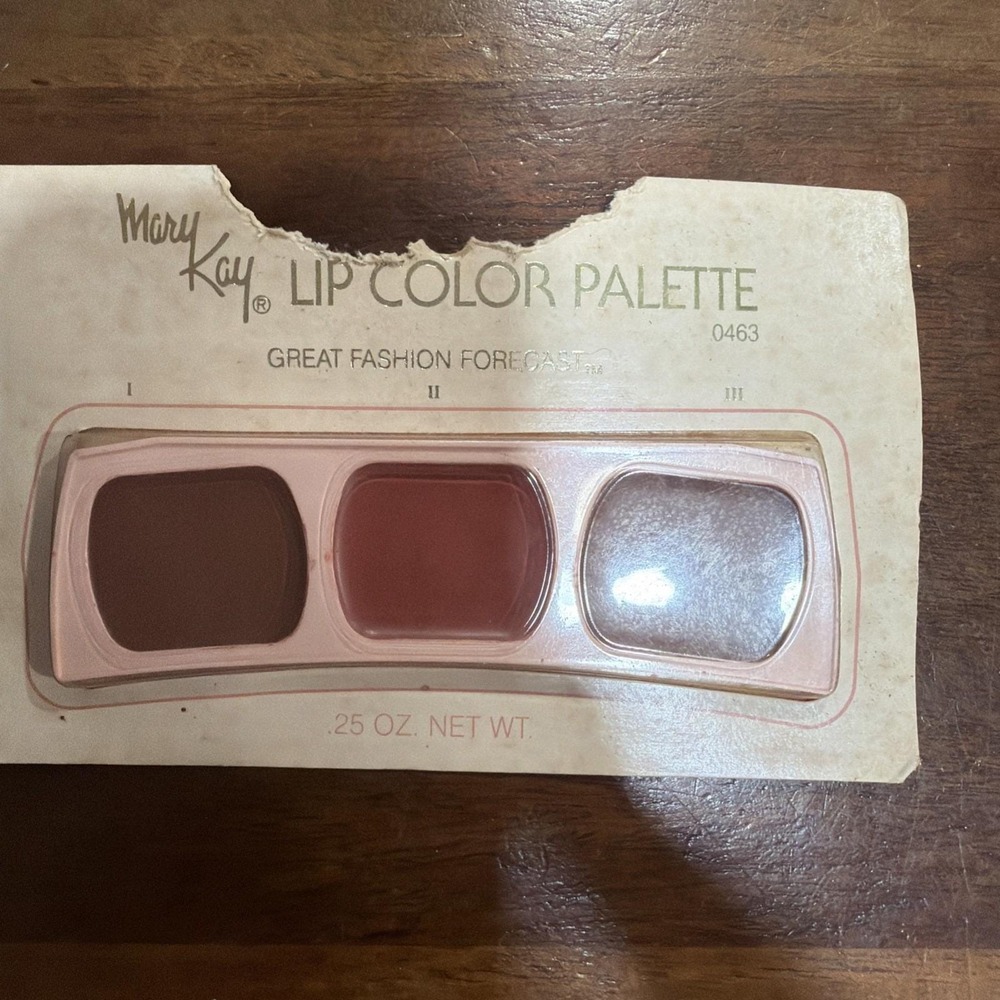 2-Vintage 1980S Mary Kay Lip Color Palette 0463 Great Fashion Forecast - Picture 3 of 6